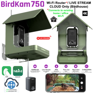 BirdKam750 - 4K LIVE STREAM [CLOUD Only] Smart Bird Feeder (Birdhouse)